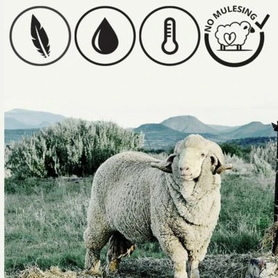 Giesswein Kinder-Hausschuhe Oberstaufen Hausschuhe Giesswein Kinder-Hausschuhe Oberstaufen Hausschuhe -Giesswein 6884155 06